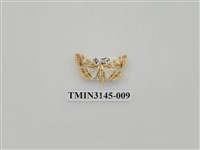 藏品(螟蛾292)的圖片